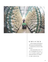 中国烹饪2025年10月第10期