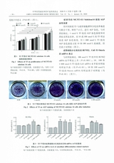 中华骨质疏松和骨矿盐疾病杂志2020年1月第1期