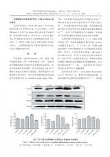 中华骨质疏松和骨矿盐疾病杂志2020年1月第1期