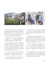 茶道2025年10月第10期