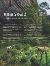 茶道2025年10月第10期