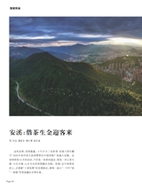 茶道2025年10月第10期