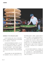 茶道2025年10月第10期