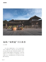 茶道2025年10月第10期