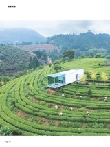 茶道2025年10月第10期