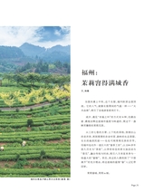 茶道2025年10月第10期