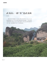 茶道2025年10月第10期