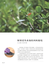 茶道2025年10月第10期