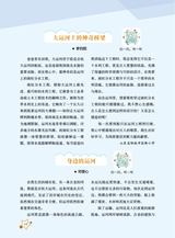 作文·小学5-6年级2025年7-8月28期合刊