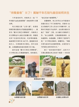 作文·小学5-6年级2025年7-8月28期合刊