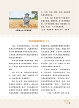 作文·小学5-6年级2025年7-8月28期合刊