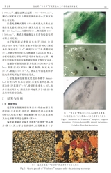 宝石和宝石学杂志2025年3月第2期