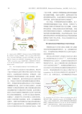 北京口腔医学2025年4月第2期