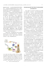 北京口腔医学2025年4月第2期