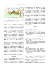 北京口腔医学2025年4月第2期