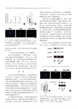 北京口腔医学2025年4月第2期