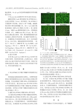 北京口腔医学2025年4月第2期
