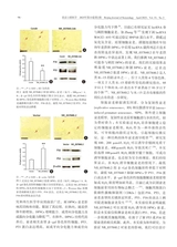 北京口腔医学2025年4月第2期
