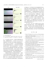 北京口腔医学2025年4月第2期