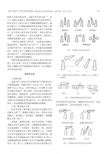 北京口腔医学2025年4月第2期