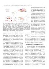 北京口腔医学2025年4月第2期