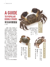 美食2025年11月第11期