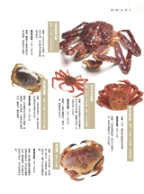 美食2025年11月第11期