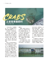 美食2025年11月第11期