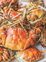 美食2025年11月第11期