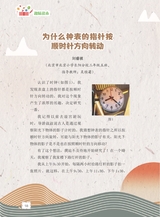 数学小灵通·启智版（低年级）2025年6月第6期