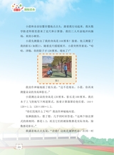 数学小灵通·启智版（低年级）2025年6月第6期