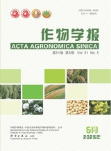 作物学报2025年5月第5期