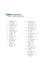 常见真菌感染性疾病直接镜检图谱2022年10月第1期