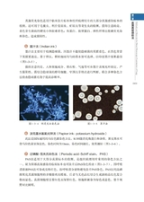 常见真菌感染性疾病直接镜检图谱2022年10月第1期