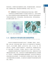 常见真菌感染性疾病直接镜检图谱2022年10月第1期