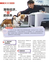 光明少年2025年7月第7期