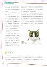 初中生优秀作文.佳作展评2015年12月第12期
