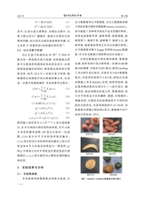 通化师范学院学报2025年6月第6期