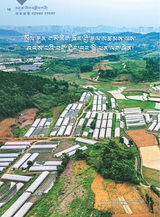 布达拉2025年6月第6期