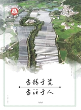 布达拉2025年6月第6期