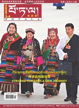 布达拉2025年4月第4期