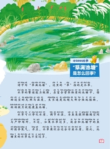 课堂内外·小学版（低年级）2025年6月第6期
