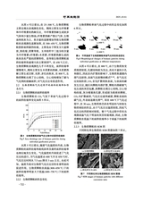 可再生能源2025年6月第6期