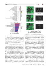 中国医药科学2025年5月第10期