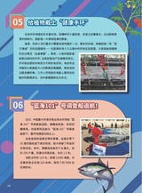 军事文摘·科学少年2025年6月第6期