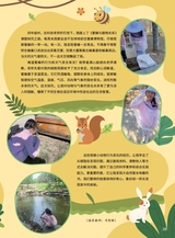 军事文摘·科学少年2025年6月第6期