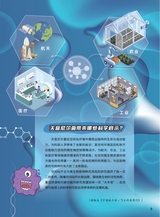 军事文摘·科学少年2025年7月第7期