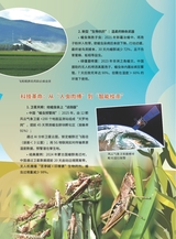 军事文摘·科学少年2025年7月第7期