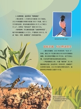 军事文摘·科学少年2025年7月第7期