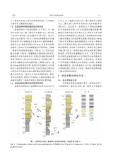 沉积与特提斯地质2025年6月第2期